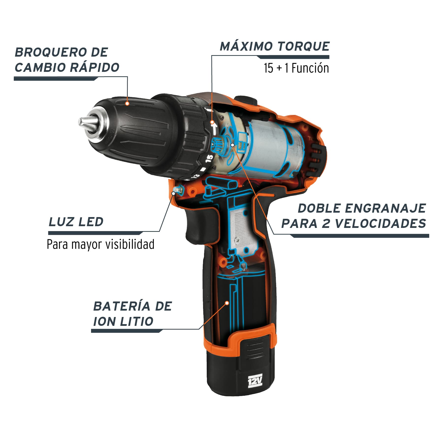 TALI-12AC+D1
